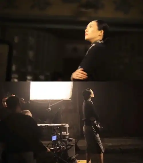 刘亦菲花木兰vs当年章子怡艺伎回忆录
