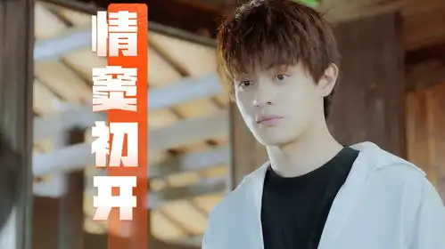 何加加的桃花源记爱情像是回眸间,怦然心动的感觉

