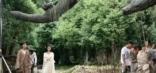 刘亦菲倩女幽魂部分剧照,茜茜公主撩发的姿势都那么美