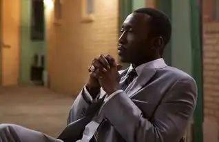 绿皮书唐原型是谁钢琴家唐谢利的传奇故事值得了解
