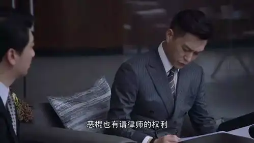 这部国剧,披着精英律师的皮,却干了家庭伦理剧的勾当
