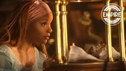 tm公主那么美,我为什么要选小美人鱼的小黑鱼
