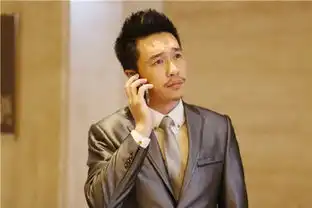 遇见王沥川戴墨为保公司拒诱惑
