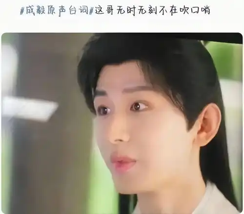 莲花楼口碑出炉,成毅原声引热议,网友评价一针见血