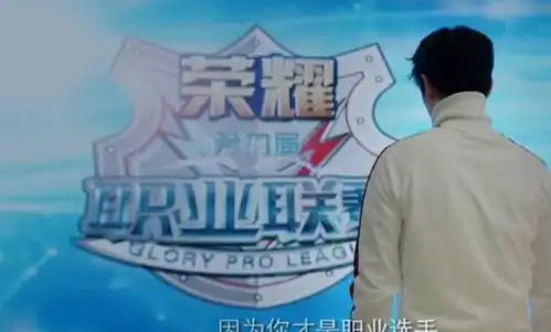 全职高手or王者荣耀杨洋新剧取景或采用kpl赛场场景
