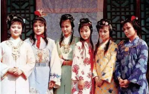 87版红楼梦,天上掉下个宝哥哥王扶林还需要动刀子整容才行