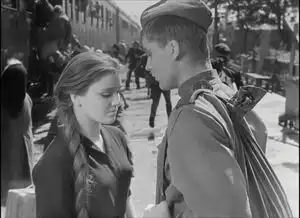 毛尖我们配得上更长的假期丨艺术