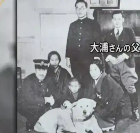 忠犬八公生前珍贵影像曝光,这些秘密你一定不知道