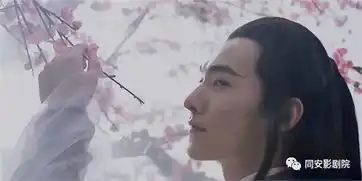 3d视效绝美玄幻,刘亦菲杨洋三生三世十里桃花很仙很美
