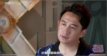 继白敬亭后,黄磊谈大侦探与明侦区别,一句话给足节目组面子
