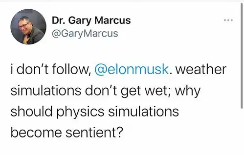 马斯克我坚信世界只是矩阵模拟,人们也能进入大脑矢量空间