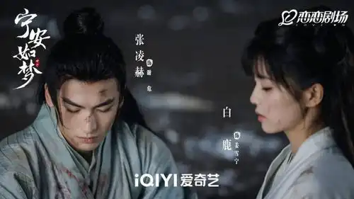 白鹿张凌赫领衔宁安如梦成最新电子榨菜
