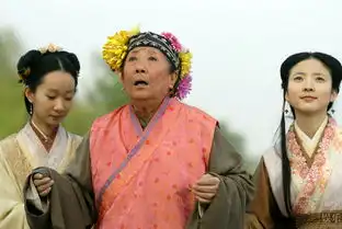 新版红楼梦扬州剧照