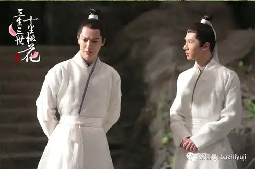 强吻碰瓷,你们神仙也这么不正经论套路,我只服白浅和夜华