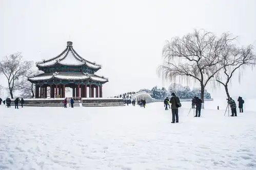 公园里下棋打牌的老人,老年人物,人物百态,摄影素材,汇图网
