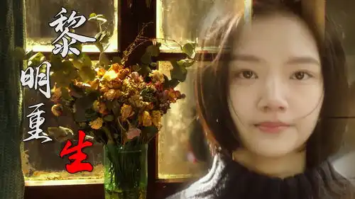 悲伤逆流成河玫瑰燃烧殆尽之时,我亦从黎明中重生