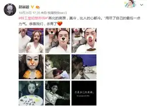 特工皇妃之楚乔传已杀青,赵丽颖明年持续霸屏
