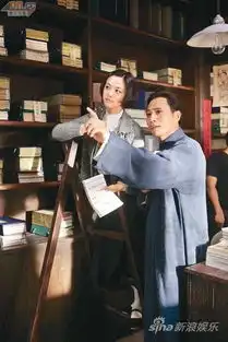 传刘诗诗因结婚被雪藏揭明星封杀雪藏内幕