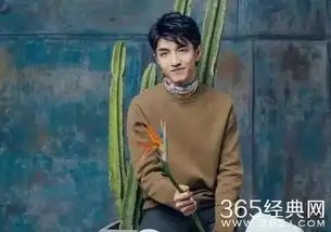 楚乔传里的坏人帮,一位是赵丽颖力捧新人,一位竟是新疆帅哥