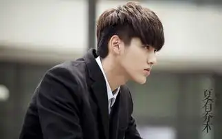 电影夏有乔木什么时候上映,exom前队长吴亦凡为男主角
