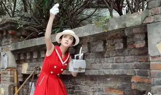 赵丽颖胭脂的精彩剧照
