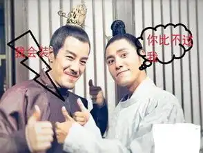 天盛长歌里的太子很耍宝,海一天自带表情包搞笑出演
