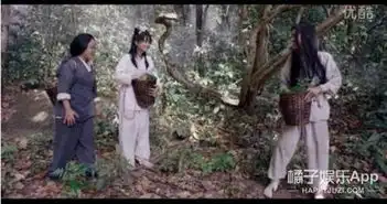 越南翻拍花千骨网友笑翻场雷人剧照抢先看
