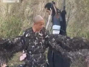 山寨版本神雕侠侣杨过疑似古天乐,大雕扮演者工资低到心痛