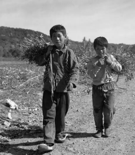 失踪38年的老兵从宝岛回乡寻亲,却被弟弟告知你早被评为烈士了
