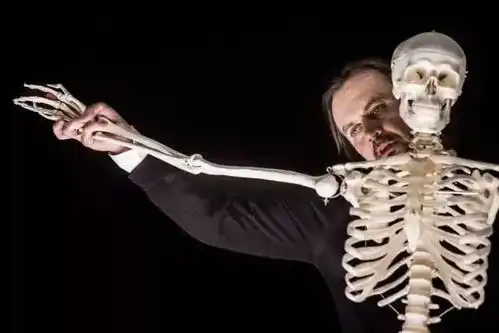 从昏昏欲睡到哄堂大笑,海鸥到底发生了什么
