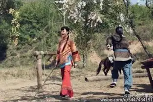 孙俪变身江湖骗子,陈晓连屁股都抢戏年度大戏果然很给力2
