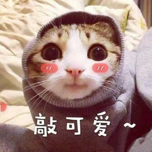 杂七麻八
