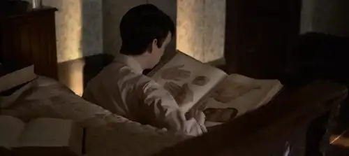 卷福出演深柜同性恋,被文弱美少年实施完美犯罪