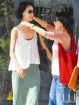 刘德华梁洛施邓萃雯陈浩民蓝洁瑛曾被封杀明星