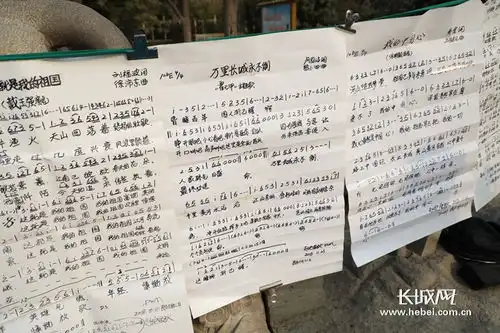 从大侠霍元甲到战狼2爱国主义情怀与时代共鸣