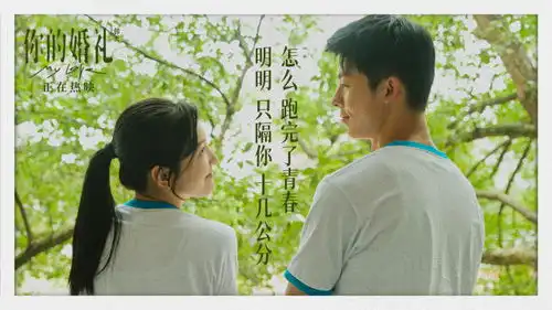 口碑是王道,悬崖之上反超你的婚礼,五一档单日票房冠军易主