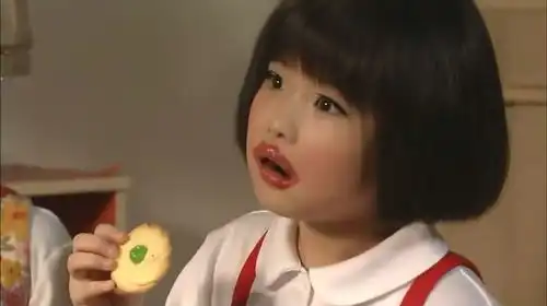 樱桃小丸子真人版2