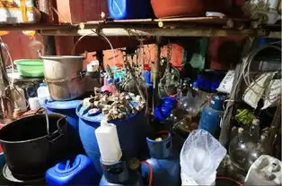 昔日广西来宾首富成绝命毒师能写制毒方程式
