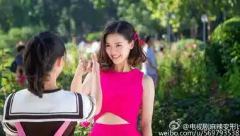 麻辣变形计全集百度云分享崔天琪真实身份为磐石线人
