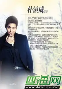 那年冬天风在吹人物简介演员表介绍全集剧情介绍