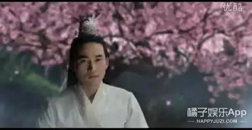越南版花千骨白子画和花千骨长这样
