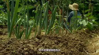 小森林夏秋篇剧照
