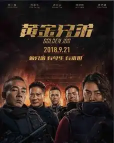 电影黄金兄弟什么时候上映
