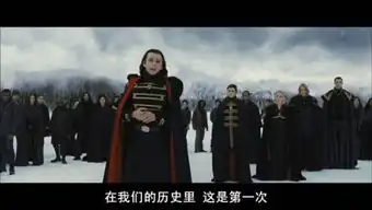 沃尔图里家族的介绍
