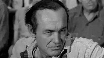 杀死一只知更鸟tokillamockingbird19621905电影网