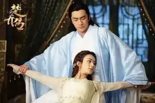 今年卫视单日收视最高的电视剧
