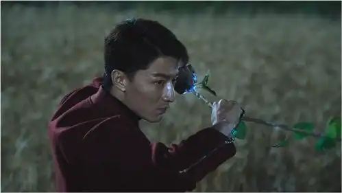 单志刚竟是邵琰宽,只因吃了妖元不老不死,司藤是他一生的恐惧