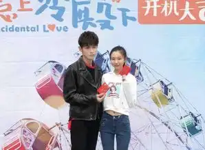 惹上冷殿下剧情如何讲述了什么
