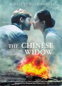 一带一路沿线15个电影节深度合作组图
