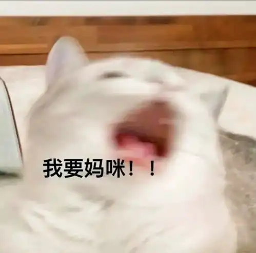 我他妈表情包出处妈宝